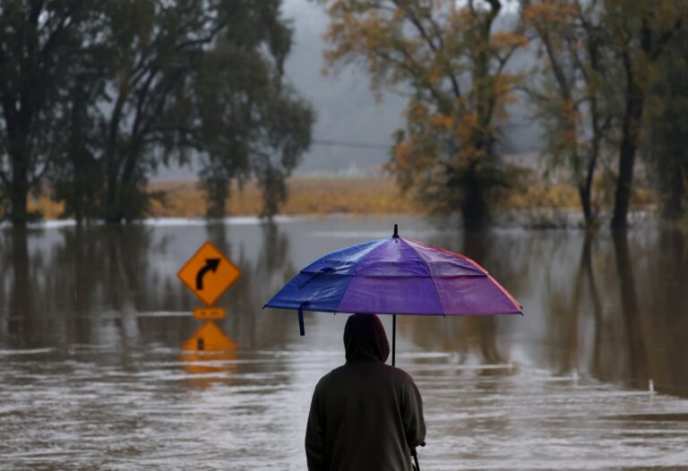 man w umbrealla in flooded landscape