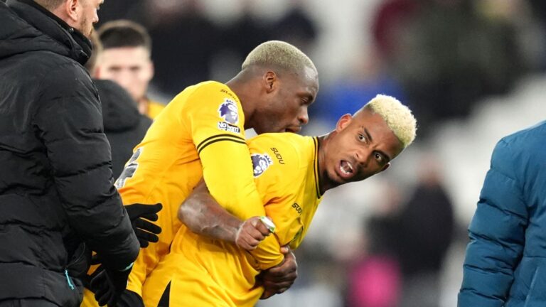 skysports mario lemina wolves 6771913