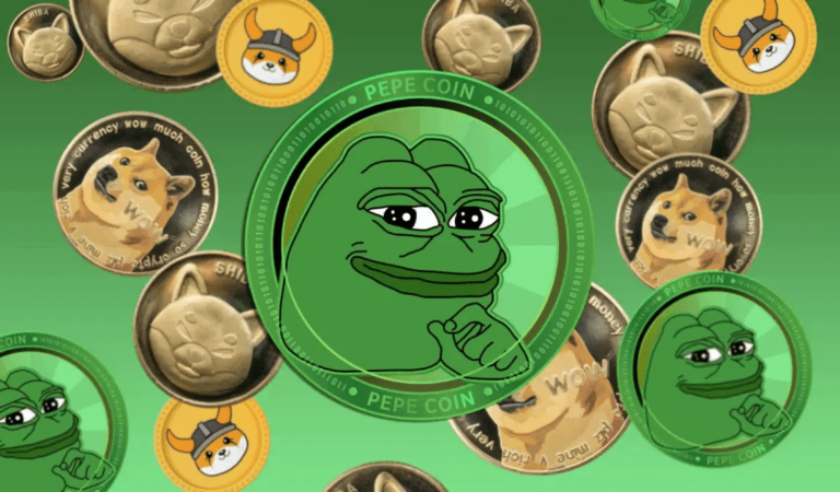 different memecoins