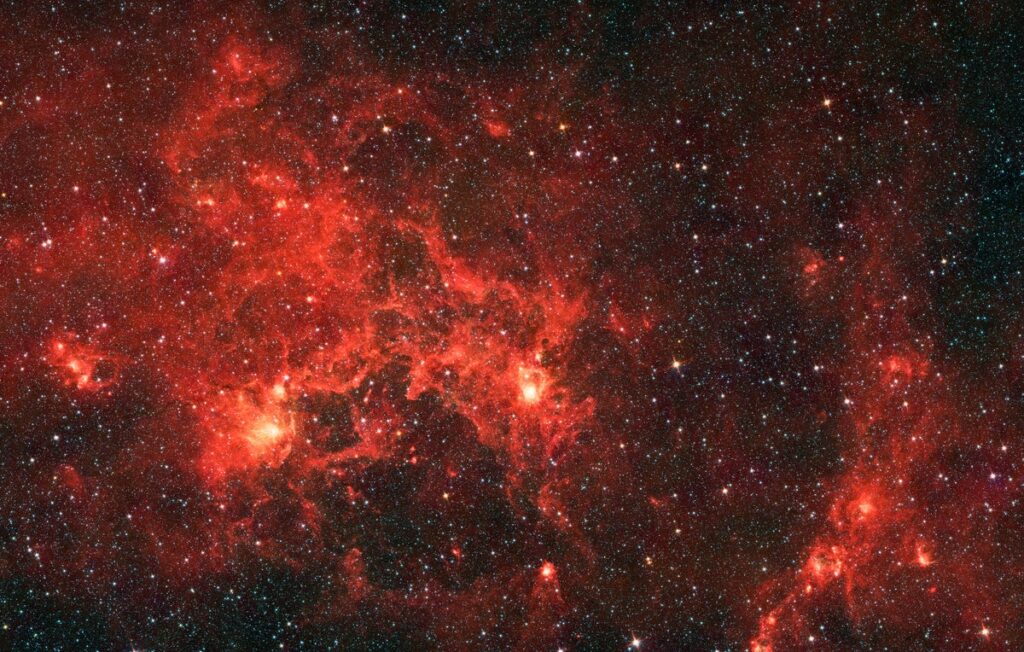 dragonfish nebula spitzer space telescope