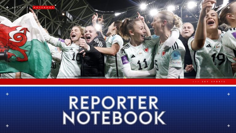 skysports reporter notebook 6833433